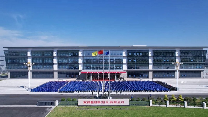 logo【4790】雙良硅材料(包頭)有限公司-1.jpg
